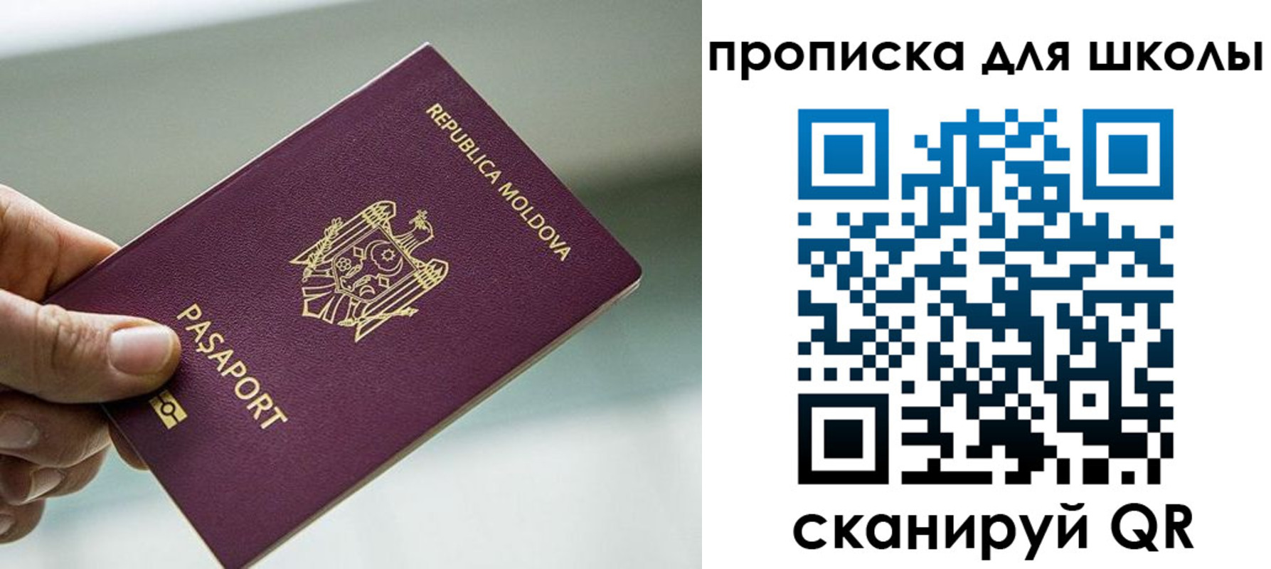 прописка в квартире в Пионерском